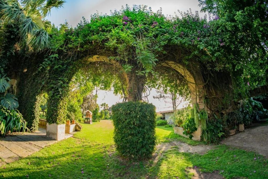 Finca San Javier El Arenal  Екстериор снимка